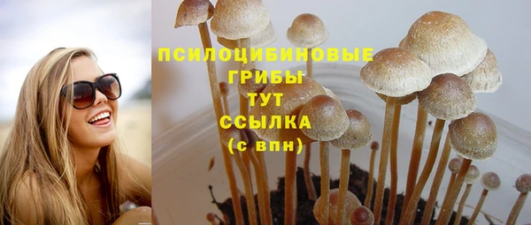 МДПВ Гусиноозёрск