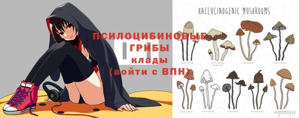 круглые Гусев