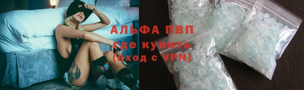 круглые Гусев
