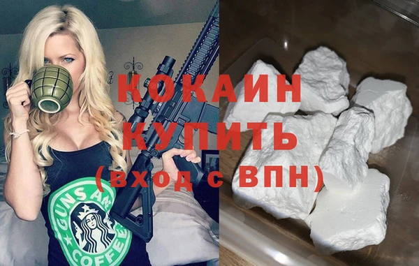 круглые Гусев