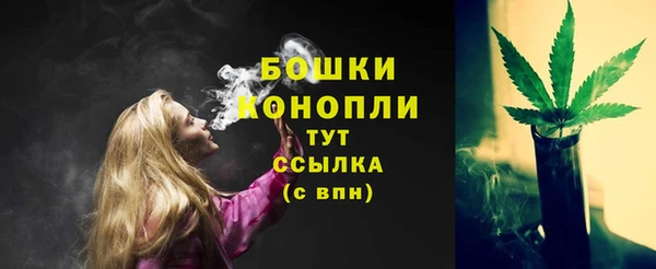 тгк Гусь-Хрустальный