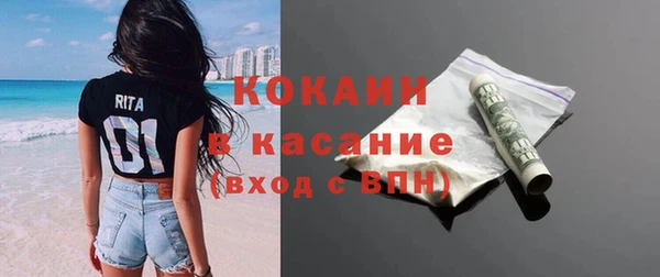 круглые Гусев