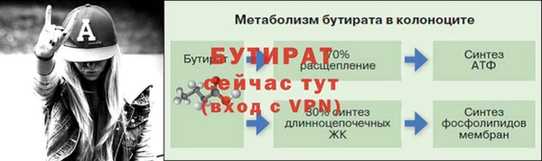 круглые Гусев