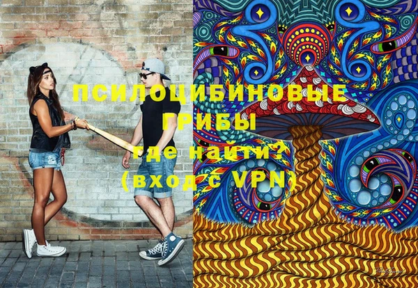 тгк Гусь-Хрустальный