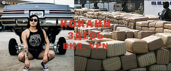 круглые Гусев