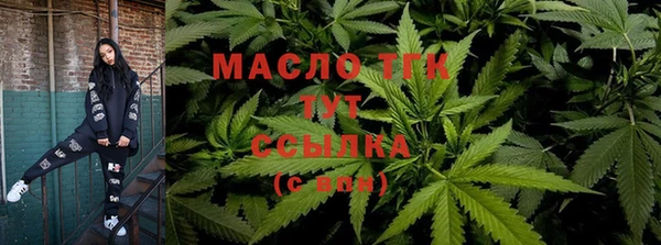 круглые Гусев