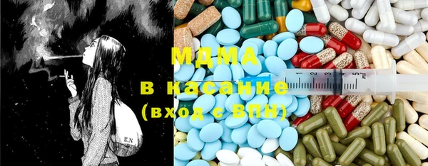 круглые Гусев