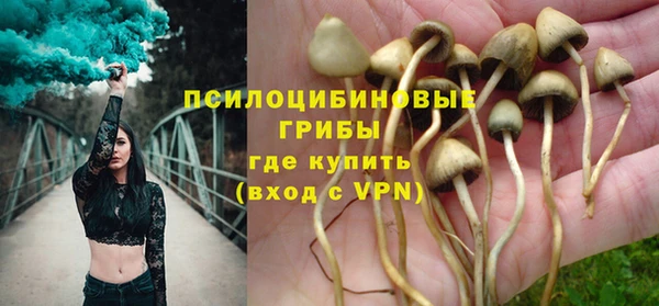 МДПВ Гусиноозёрск