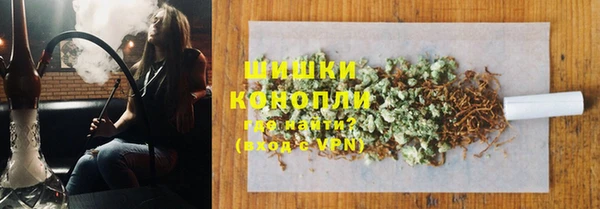 круглые Гусев